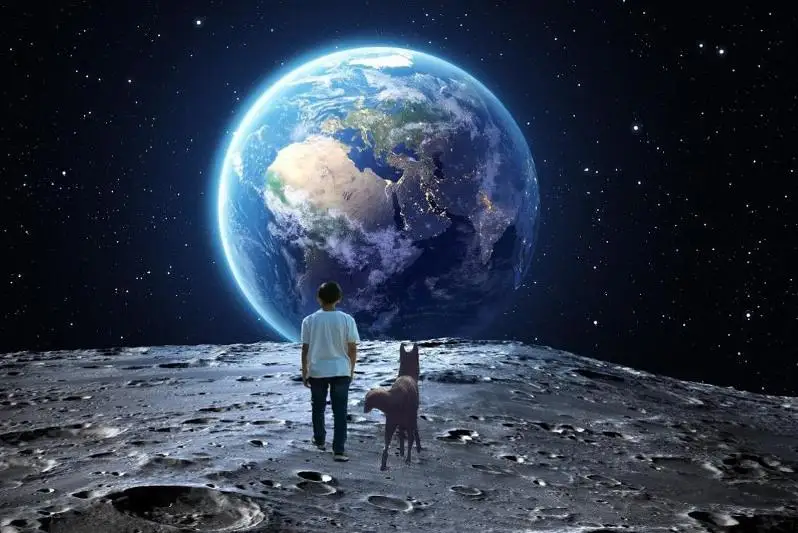 Работы юных фотографов из детдома Караганды удивили профессионалов