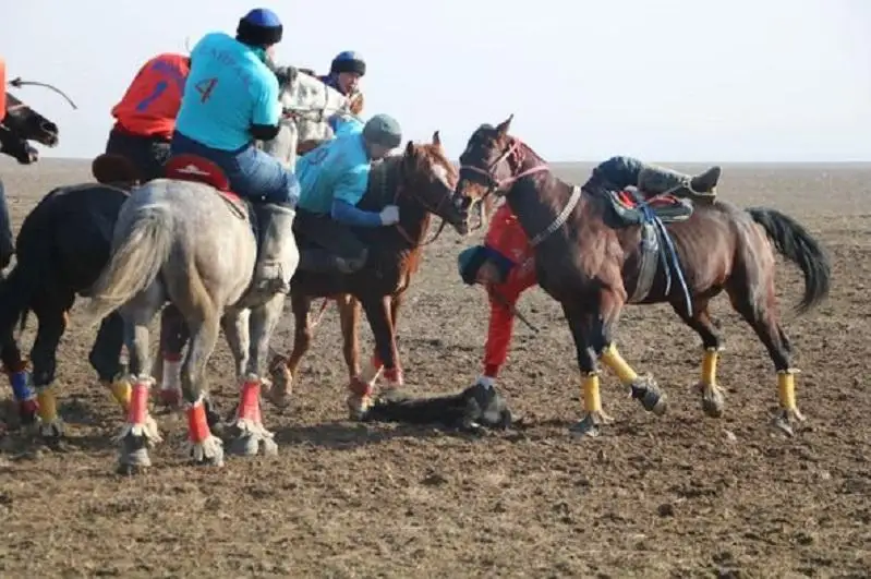 Сильнейших в кокпаре выявили на турнире в Туркестанской области