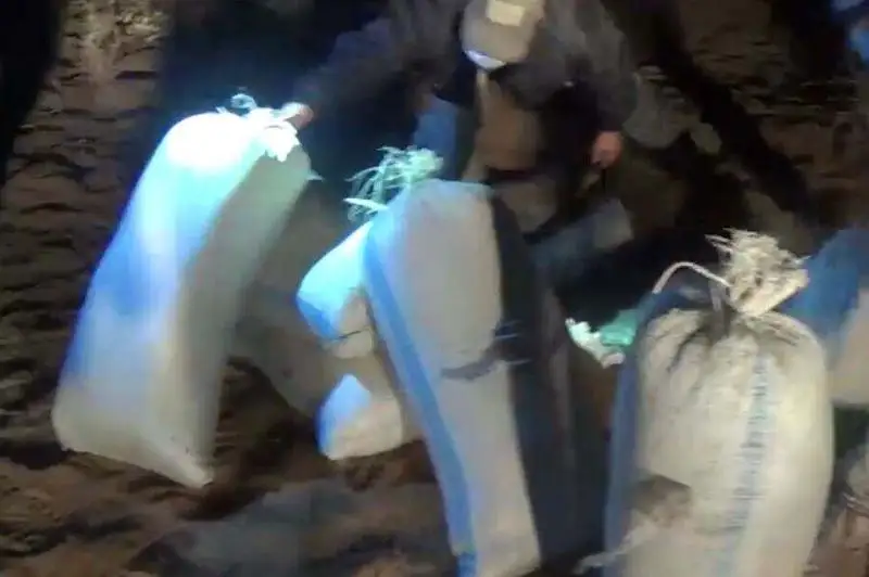 Свыше 160 кг наркотиков изъяли у жителя Жамбылской области