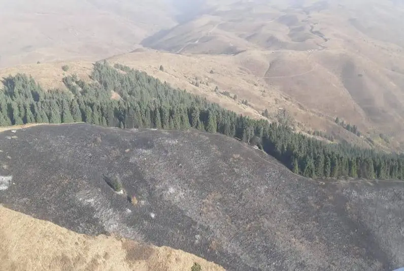 Крупный лесной пожар тушат в Иле-Алатауском нацпарке