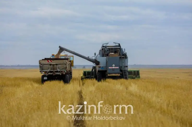 Более одного миллиона тонн урожая планируют собрать в Алматинской области