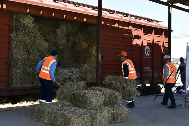Túrkistan oblysynan batys óńirlerge 67 vagon jem-shóp jóneltildi