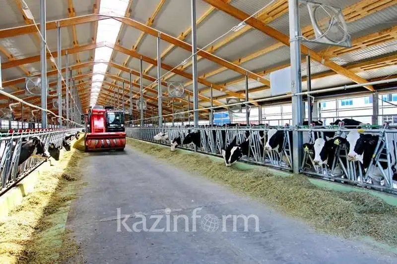 Около 100 инвестпроектов в сфере АПК реализует Казахстан