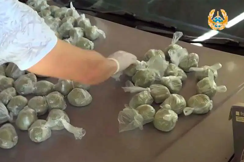 Две тысячи доз гашиша изъяли у братьев в ВКО