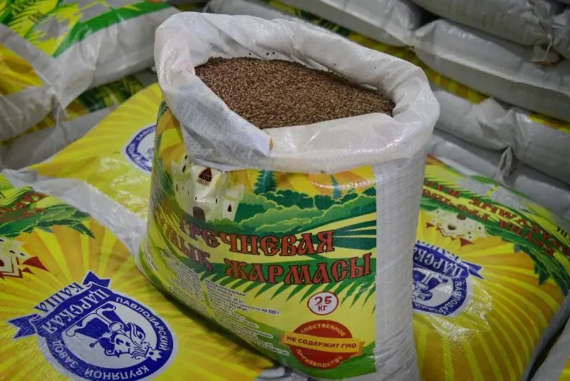 Около половины посевов гречихи в РК пришлось на Павлодарскую область