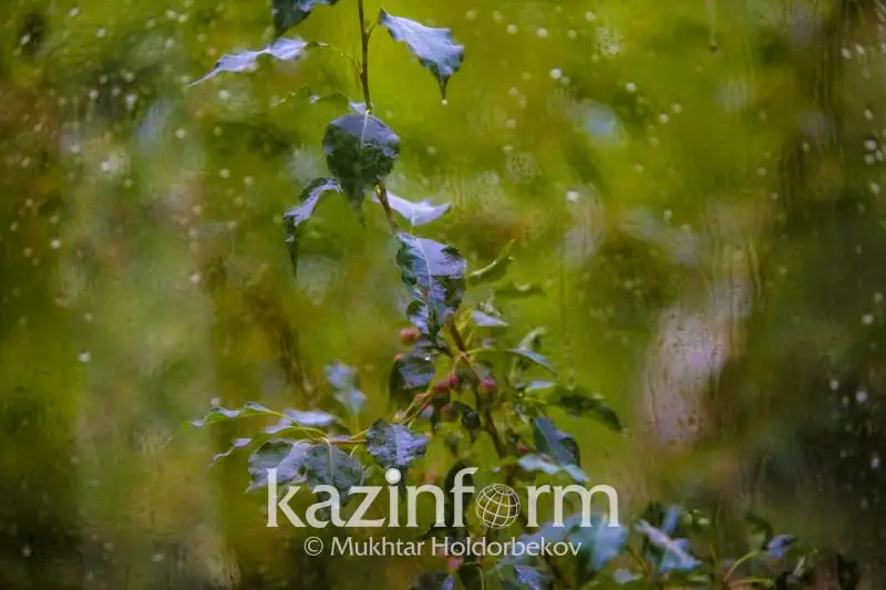 Заморозки и дожди ожидаются на севере Казахстана