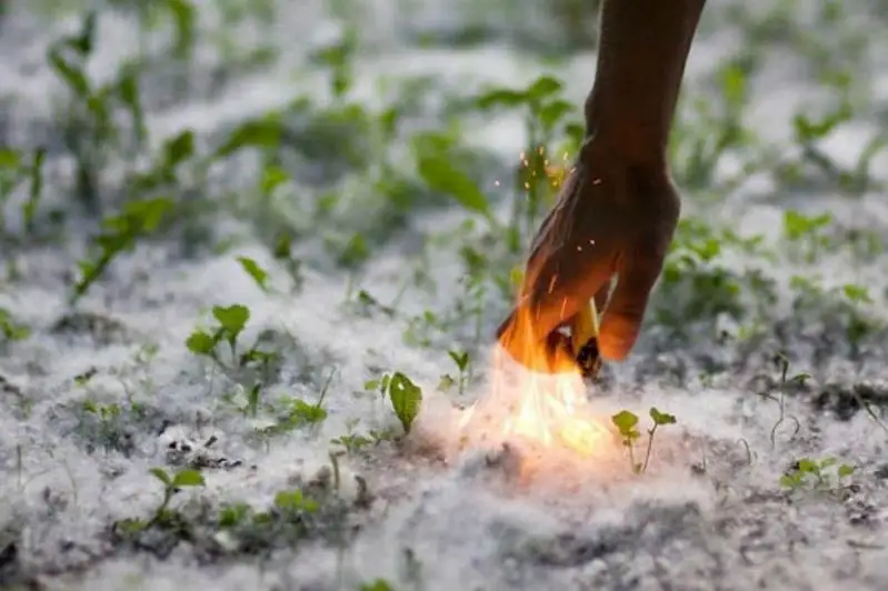 От подожженного подростками тополиного пуха загорелся автобусный парк в Акмолинской области