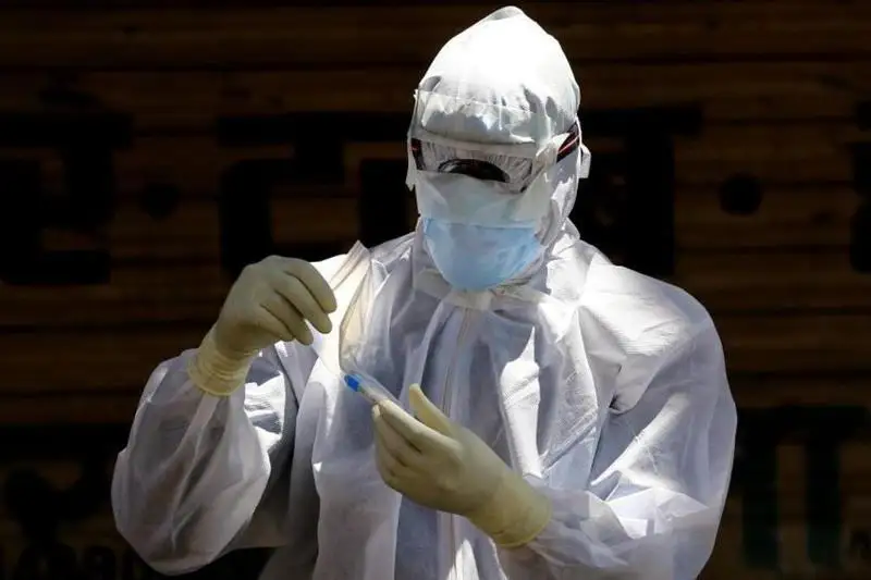 Из-за сибирской язвы на зоны поделили район в СКО