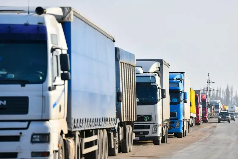 Минсельхоз пресек ввоз подкарантинной продукции в Казахстан