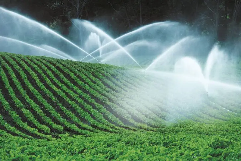 Пересмотреть лимиты водопотребления в сельском хозяйстве намерены в Казахстане