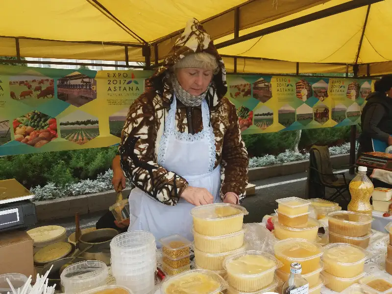 Апитерапевтический оздоровительный комплекс планируют открыть в Жамбылской области