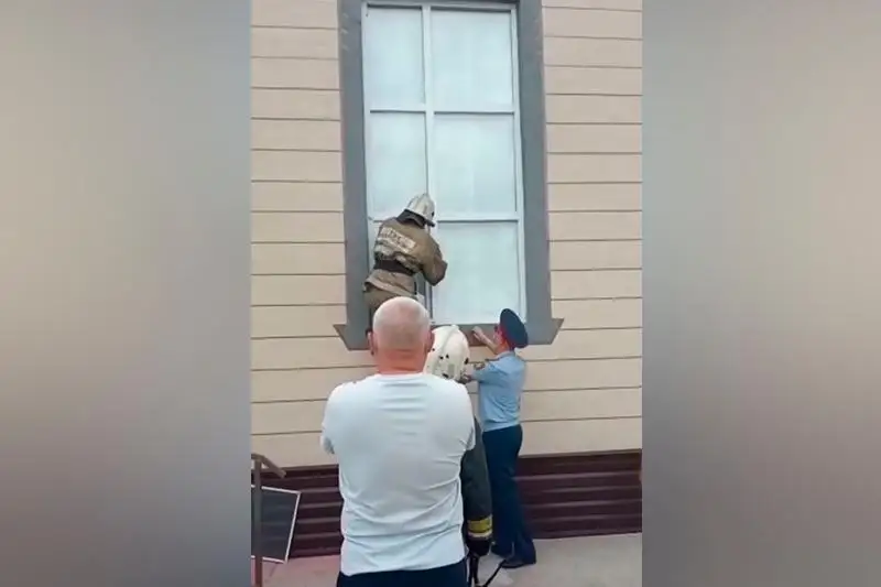 Свадьбу остановила мобильная группа в Балхаше