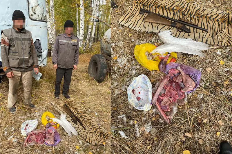 Подозреваемого в отстреле краснокнижного лебедя-шипуна задержали в СКО