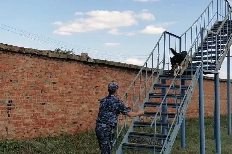 Как проходят будни собак-полицейских в Казахстане