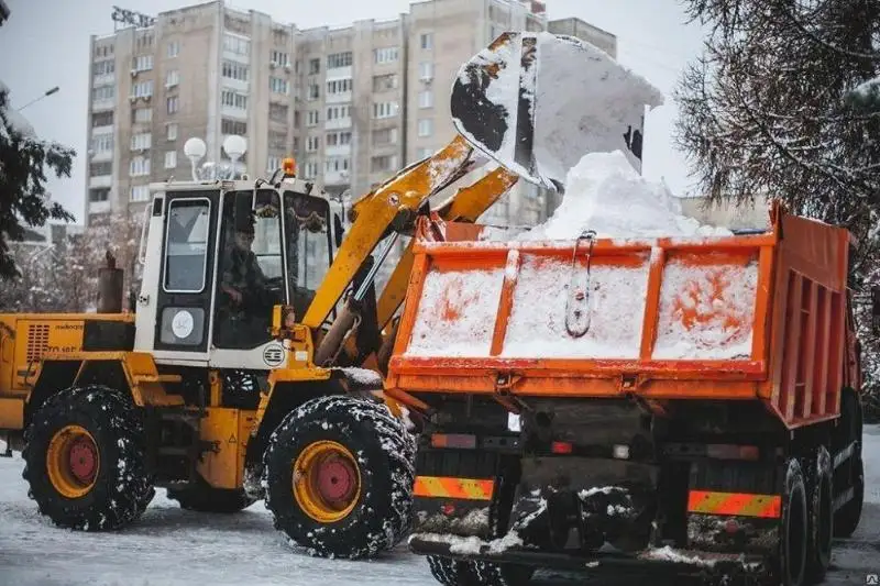 Almatyda 2,7 myń tekshe metr qar qala syrtyna shyǵaryldy