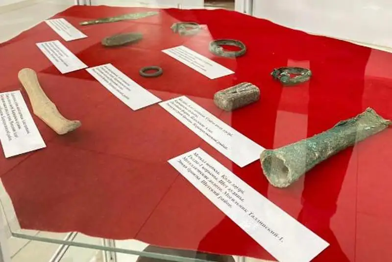 Археологические находки передали Карагандинскому краеведческому музею