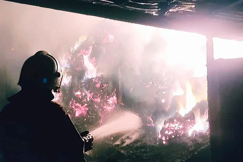 37 тонн сена сгорело в Жамбылской области