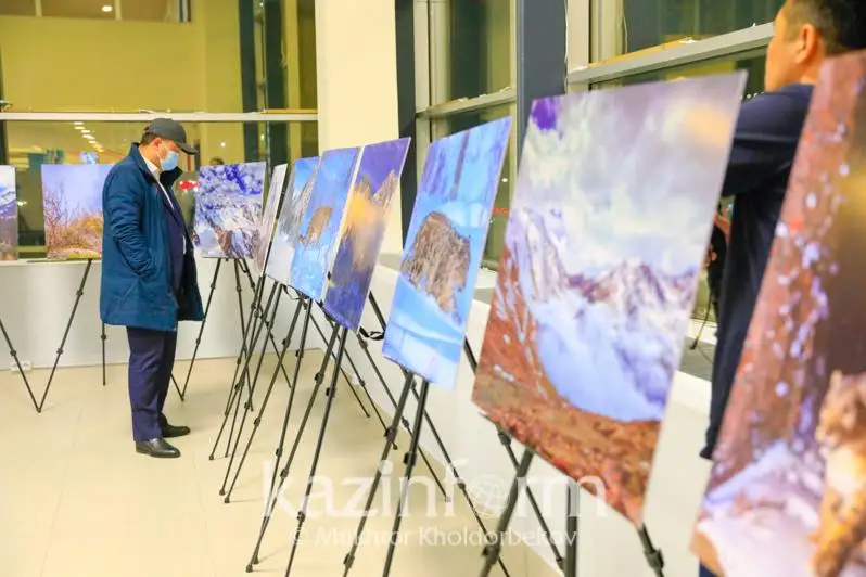 В Нур-Султане состоялась экологическая акция «Қар барысын сақтайық!»