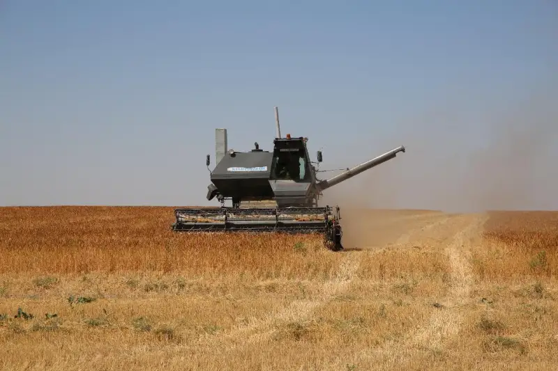 Уборочная кампания полным ходом идет в Жамбылской области