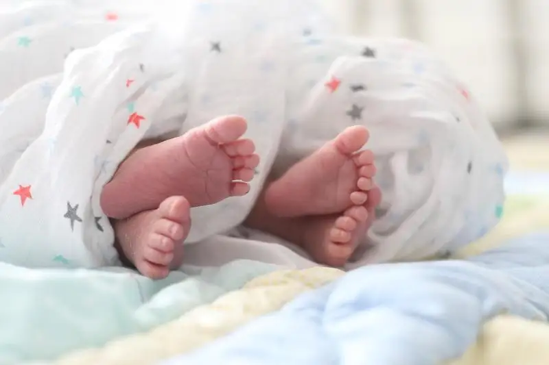 Elordada mamyr merekesi kúnderi 3 egiz dúnıege keldi