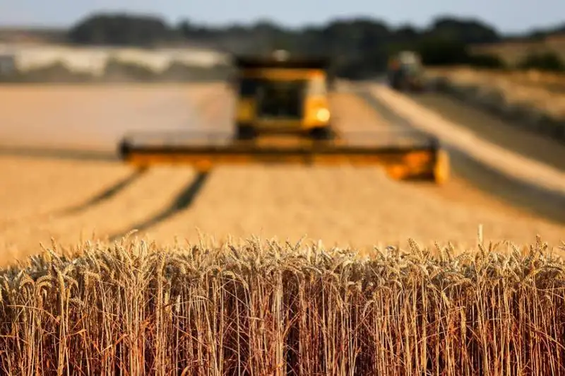 До 14 июля казахстанские аграрии могут застраховать уборку урожая от дождей
