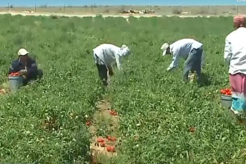 Из трудового рабства освободили 59-летнего жителя Мангыстау