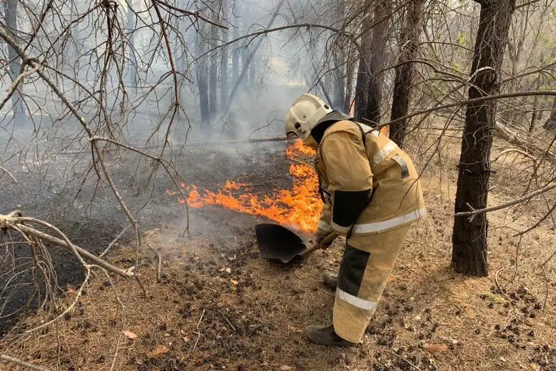 Лесопосадка горела возле Шахтинска в Карагандинской области