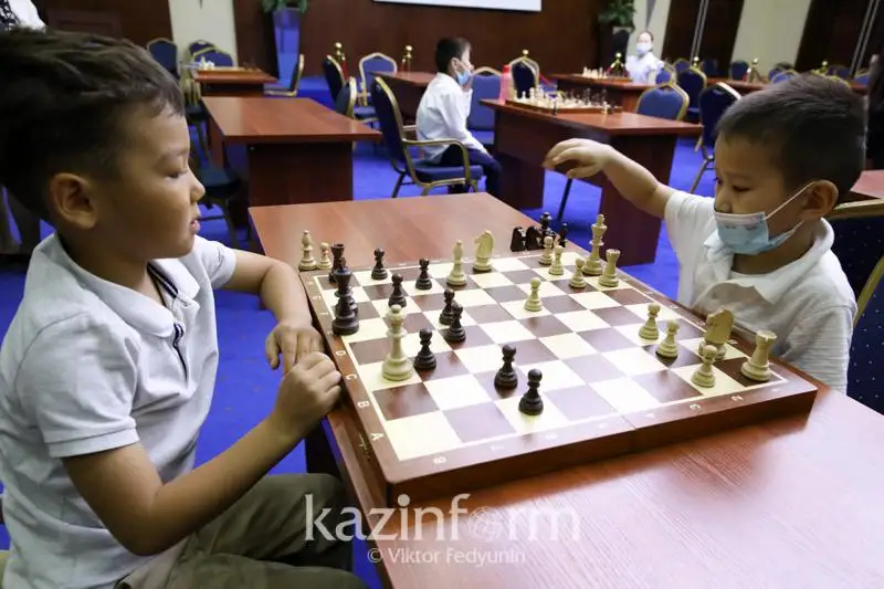 Профессиональный клуб шахматистов предлагает создать  Динара Садуакасова