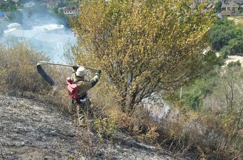 Склон горы загорелся в Алматы