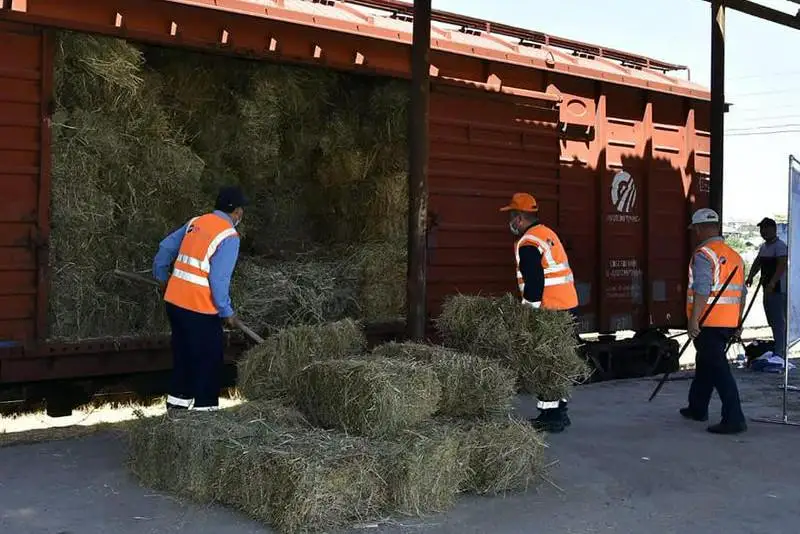 КТЖ продлило скидки на месяц на поставки сена в пострадавшие от засухи регионы