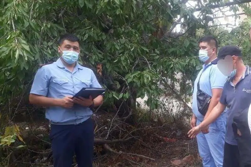 Избил и задушил пожилую соседку мужчина в Алматинской области