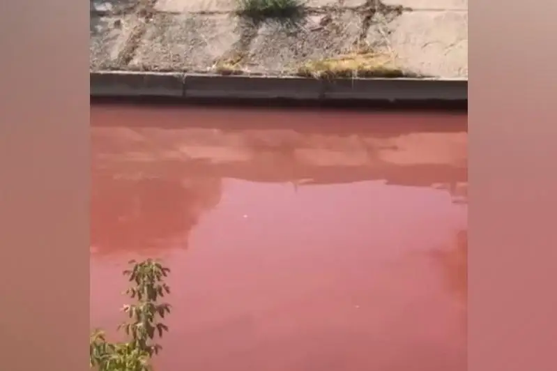 Красная вода в Большой Алматинке - специалисты выясняют причину