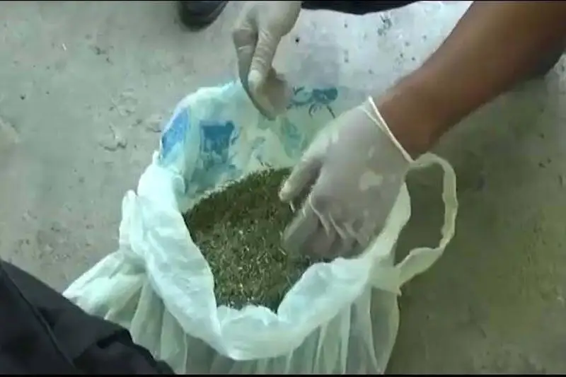 Килограмм марихуаны носил в сумке житель Шымкента