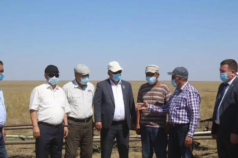 Дефицит ветеринаров отметили сенаторы в Актюбинской области