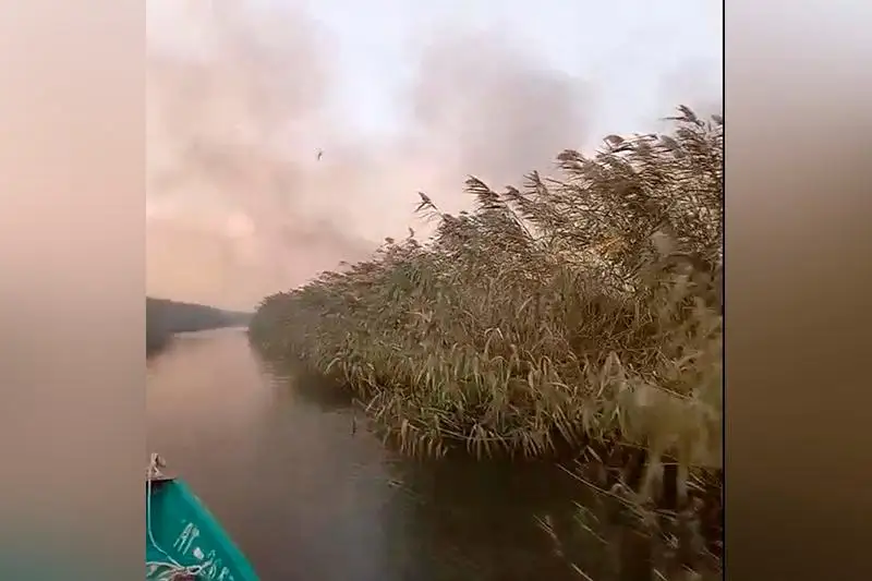 Тростниковые заросли горят на побережье Каспия в Атырауской области