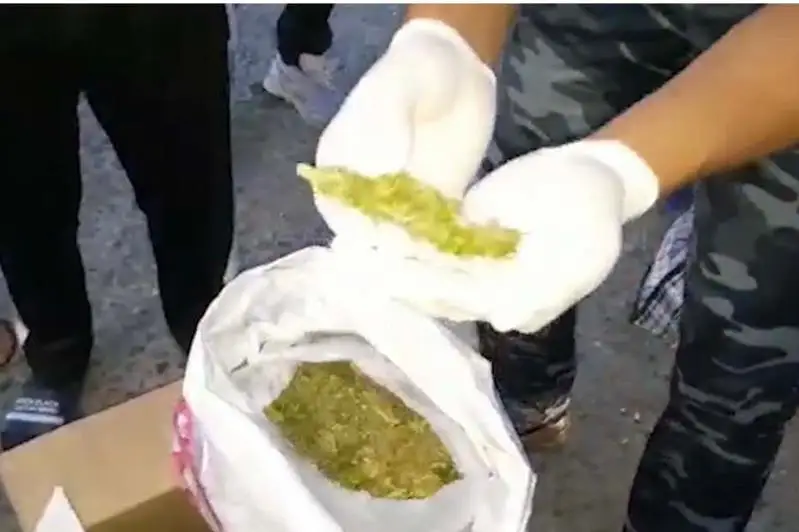 Особо крупную партию наркотиков изъяли у жителя Кызылорды