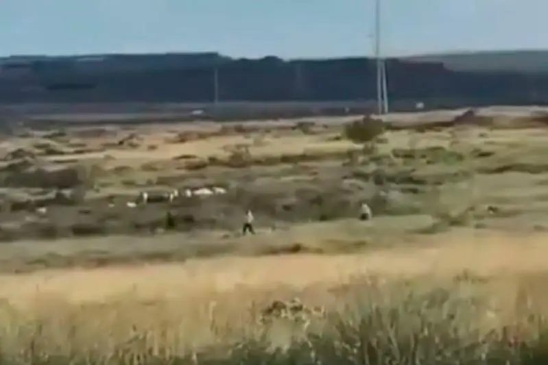 По степи пытались убежать от мониторинговой группы гости из ресторана в Темиртау