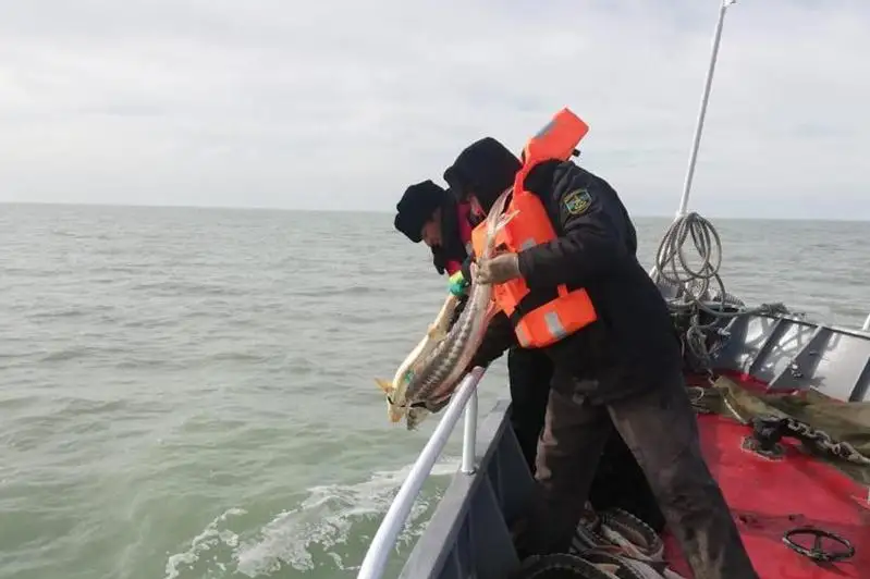 Морские пограничники предотвратили экономический ущерб стране на сумму более 575  млн тенге