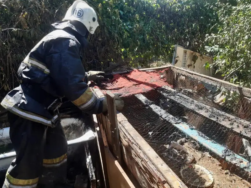 Ликвидировали пожар и вытащили мужчину из водоема жанатасские спасатели