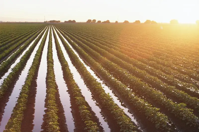 В каких регионах Казахстана больше всего орошаемых земель