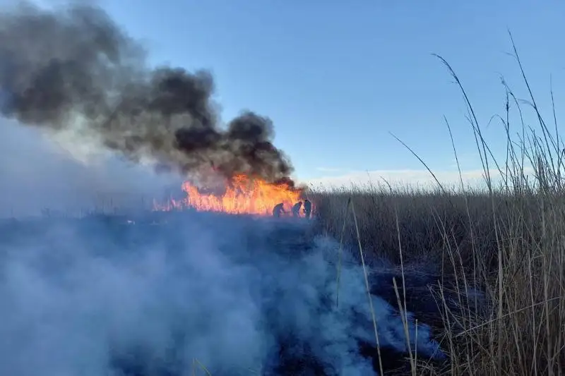 Пожар на побережье Каспия продолжают тушить в Атырауской области