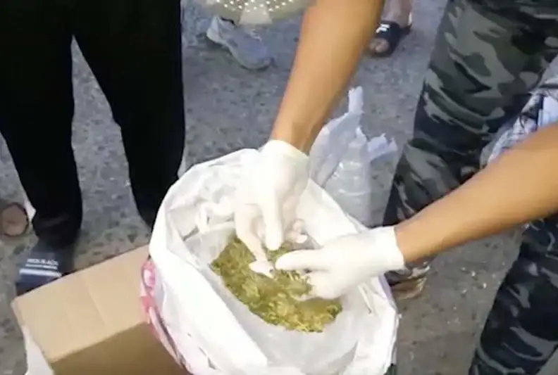 Более 400 кг наркотиков изъяли жамбылские полицейские за три дня
