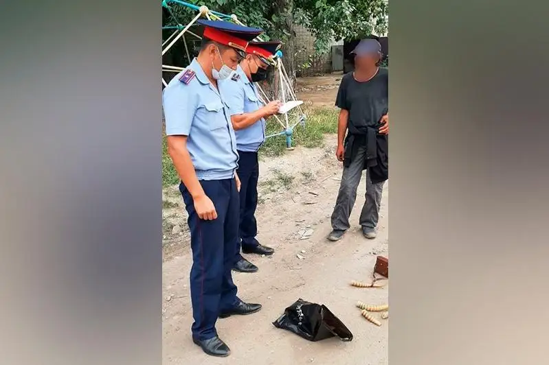 «Нашли в мусорном баке»: двух костанайцев с рогами сайги задержали полицейские