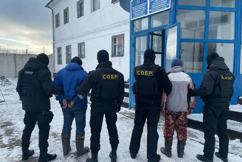 Barymtashylar 17 iri qarany dalada atyp alyp, etti Nur-Sultan bazarlarynda satqan