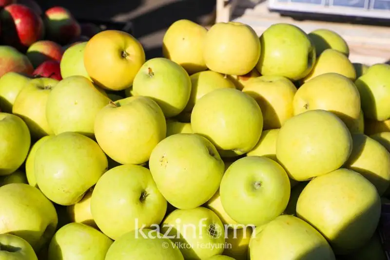 Казахстанская компания готова завоевывать рынки России и Китая