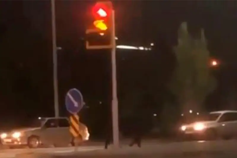 Бегавшего в столице быка поймали полицейские