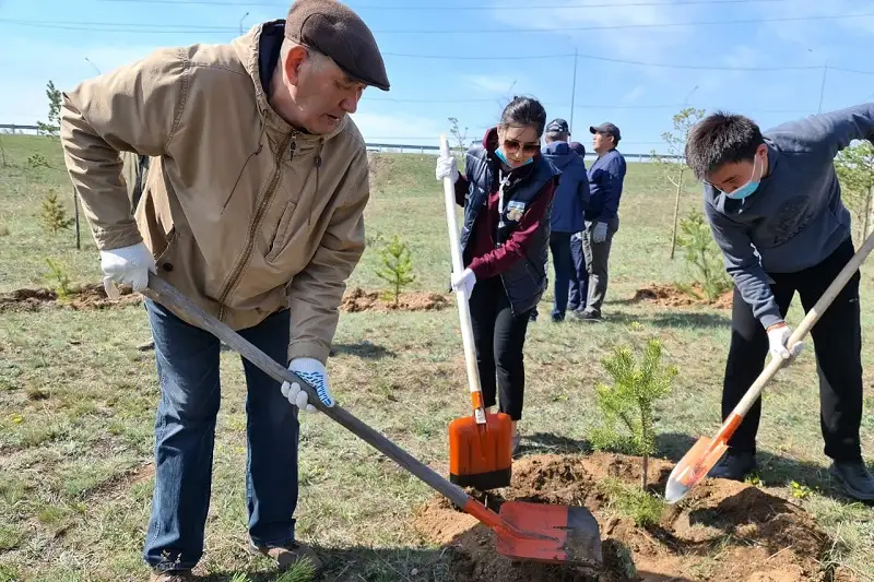Jeńis kúni qarsańynda Aqmola jastary ekologııalyq aktsııa ótkizdi