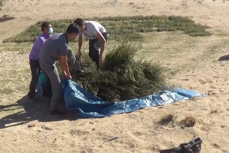 Более 70 кг наркотиков изъяли у сельчанина в Жамбылской области