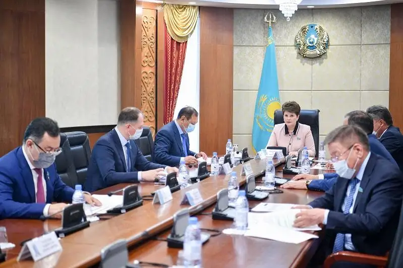 Вопросы упрощения и смягчения налогового администрирования обсудили в Сенате