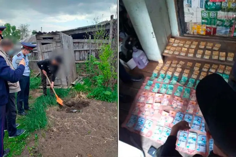 Украденные деньги закопал во дворе житель Шемонаихи